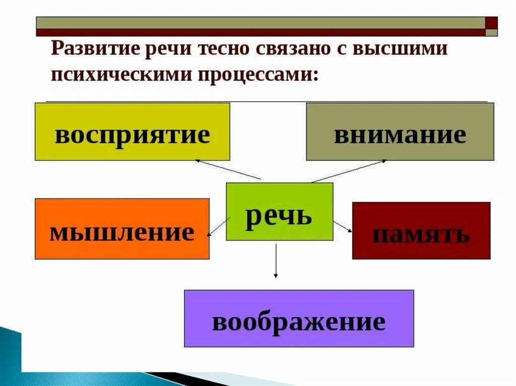 Высший процесс познавательной деятельности человека. Речь и психические процессы взаимосвязь. ВПФ В психологии. Связь речевой деятельности с другими сторонами деятельности. Связь речи с другими психическими процессами.