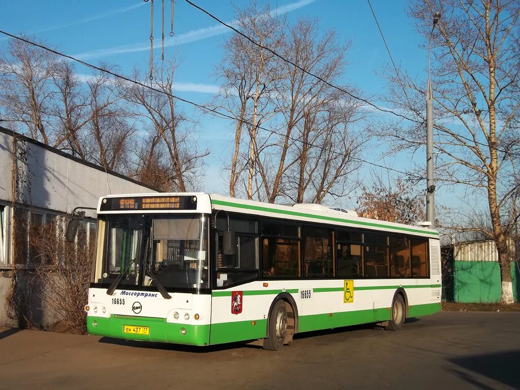 автобус 646. маз 103 арзамас. марьино автобус 646. марьино автобус 646. марьино автобус 646.