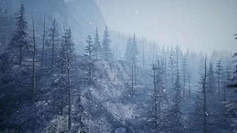 Winter for some environment