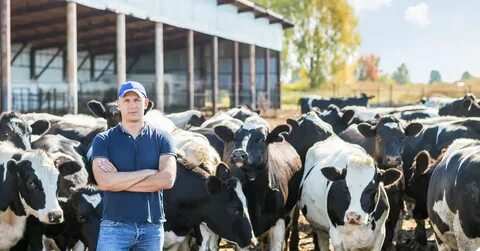 Farm job