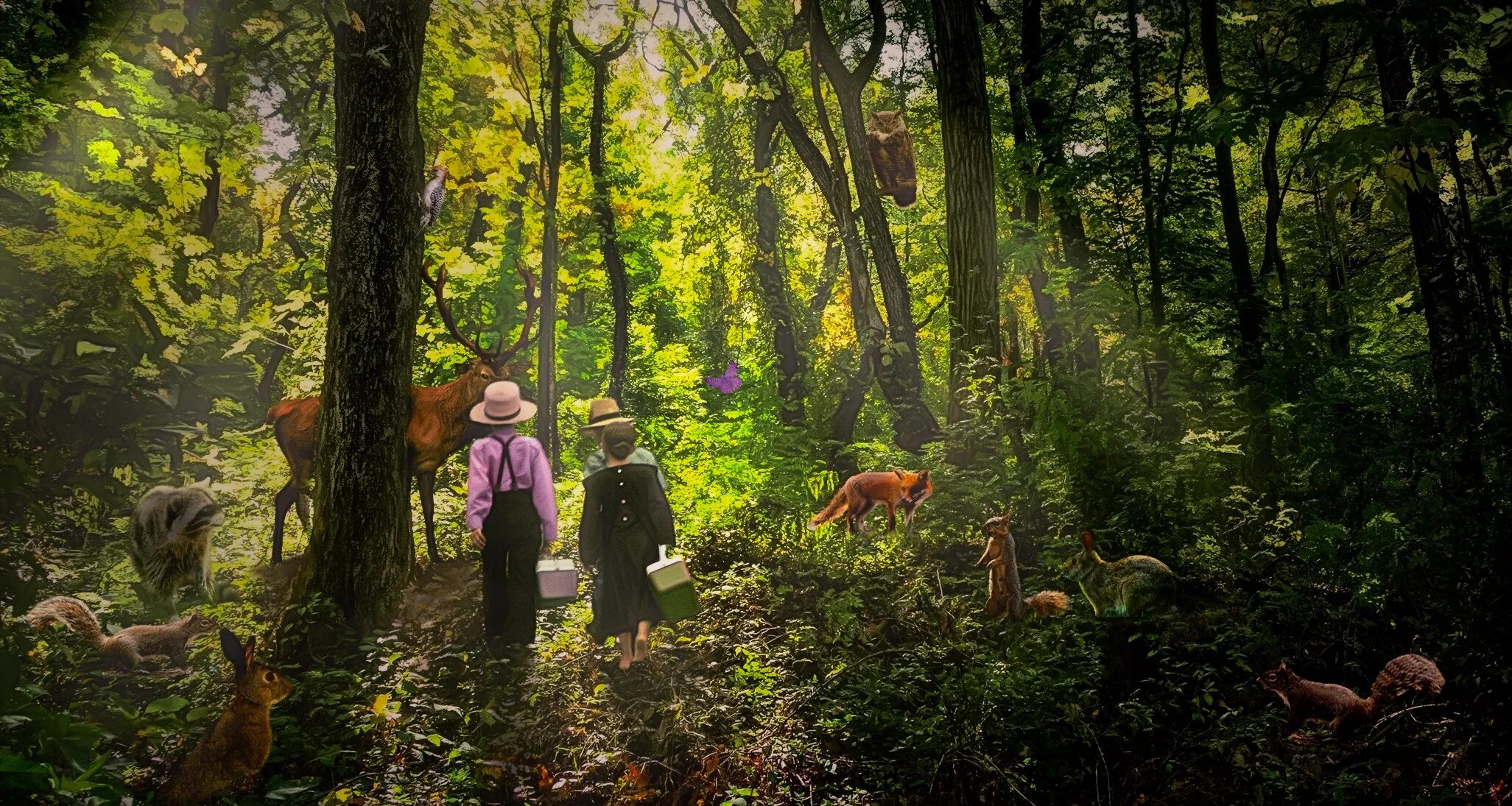 Going to the forest. Человек гуляет на природе. Прогулки на свежем воздухе. Walk in the forest. Прогулка в лесу.