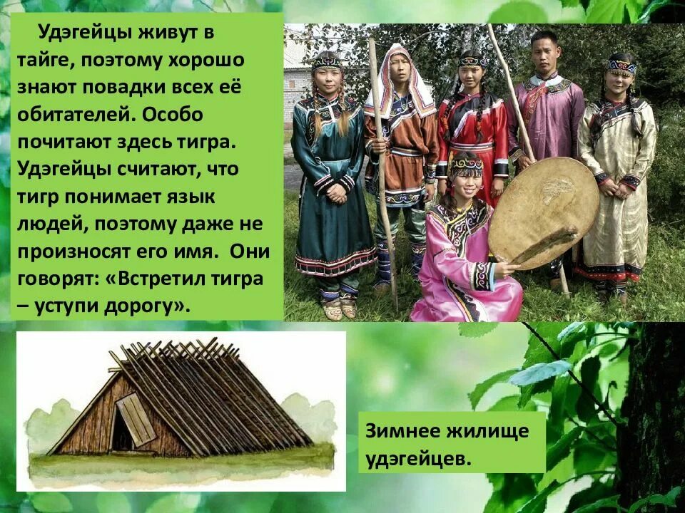 Почему назвали сибирском. Коренные народы дальнего Востока удэгейцы. Народ проживающий в тайге. Народы тайги. Коренные жители тайги.