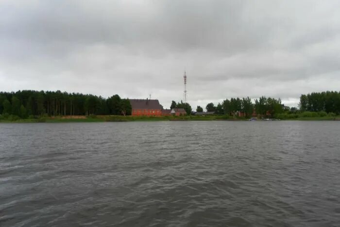 Погода в противье весьегонский район. Противье Рыбинское водохранилище. Деревня Противье Тверской области. Противье Весьегонский район. Весьегонск Противье.