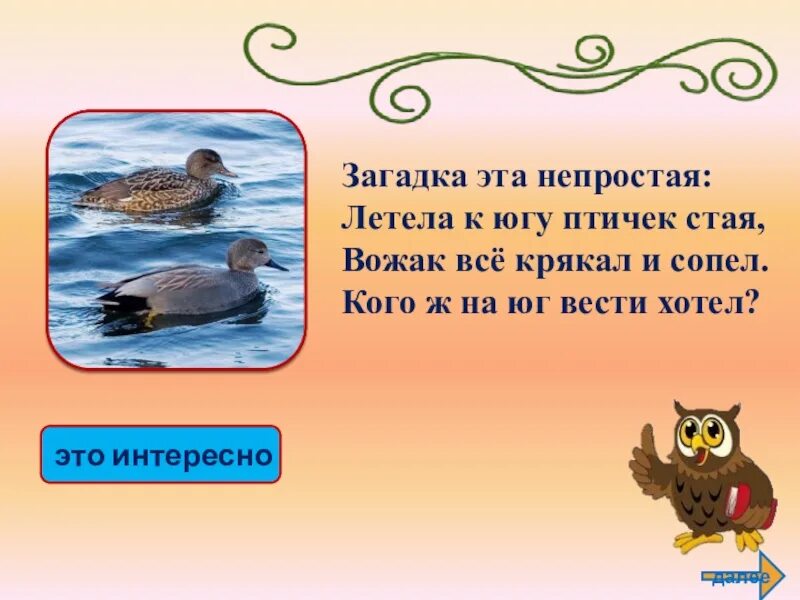 Загадка летела стая птиц. Загадка о стайке птиц. Загадка про Юг. Загадка про улетающих птиц на Юг. Загадки про улетающих птиц.