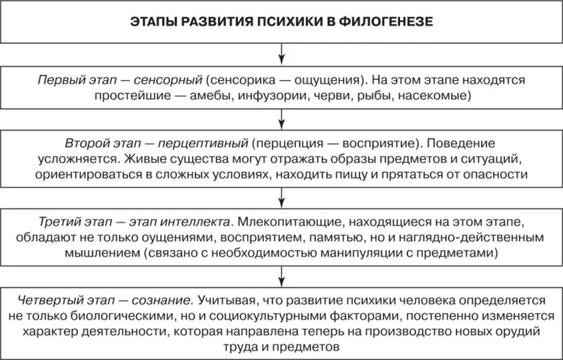 Филогенез стадии. Основные этапы развития психики в филогенезе. Основные стадии развития психики в филогенезе. Происхождение и развитие психики в процессе филогенеза.. Стадии развития психики в филогенезе в психологии.