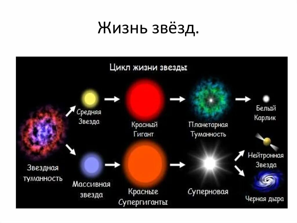 Финал эволюции звезды 7 букв