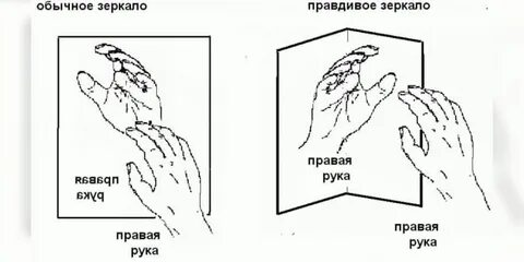 Правая лучше