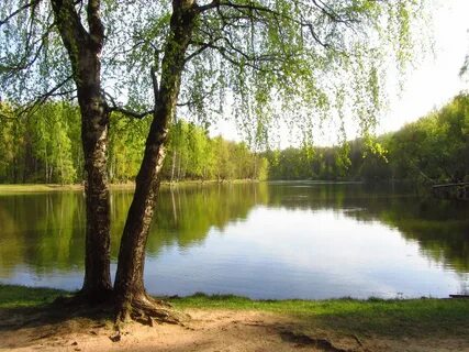 Водоем солнечный