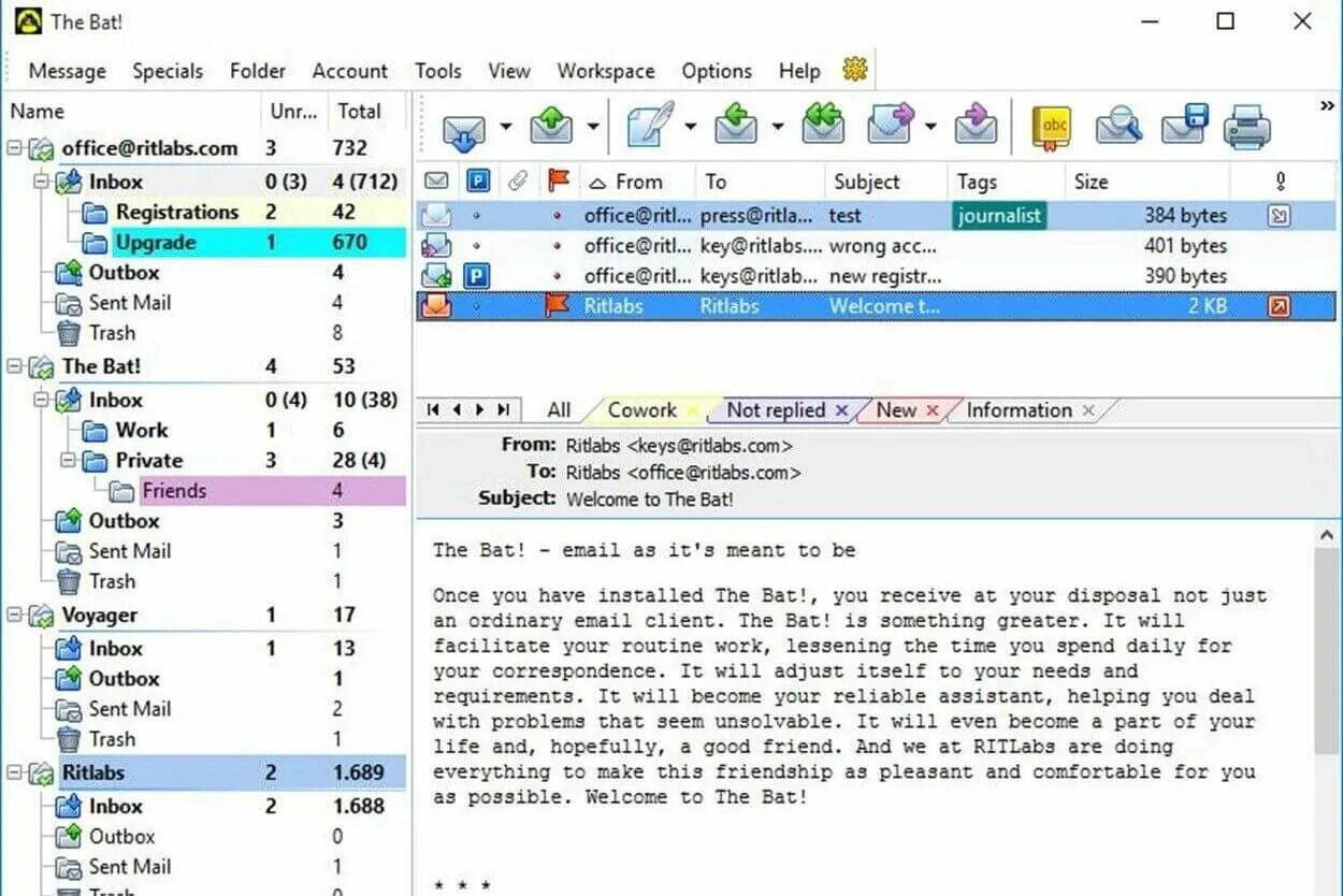 Ключ the bat 10 лицензионный. The bat иконка. The bat интерфейс. Version bat. Choose the bat.