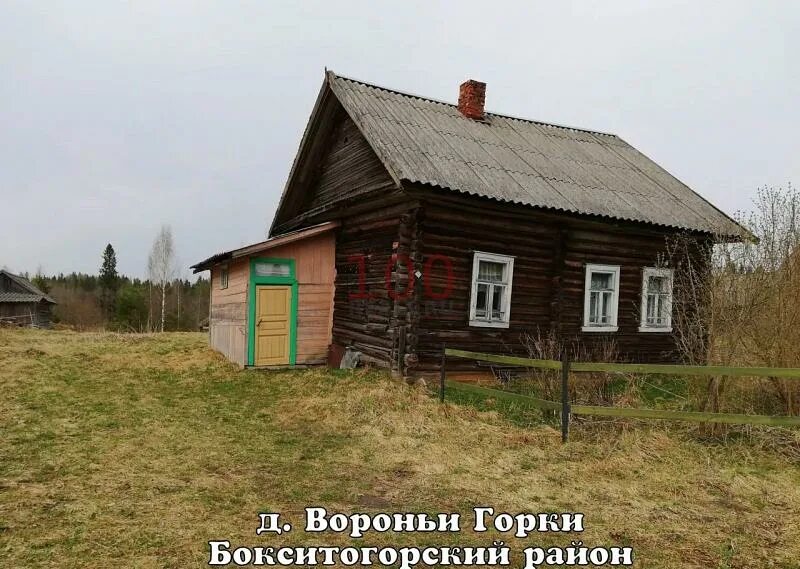 Лешутино деревня. Девятины вологодская область. Сазоново фотографии. Деревня мегрино вологодская область. Лешутино деревня.