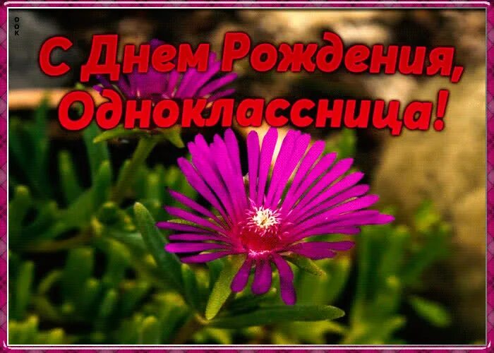 Открытка бывшей однокласснице. С днём рождения однокласснице. Открытка с днём рождения однокласснице. С днём рождения одноклассница открытка поздравление. Открытки с днём рождения Однокласс.