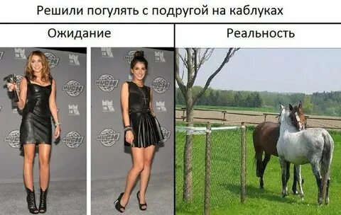 Решено гуляем