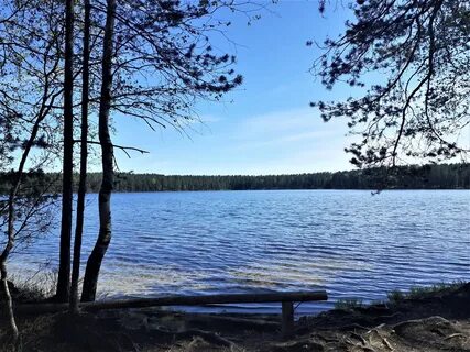 Яппили финляндский