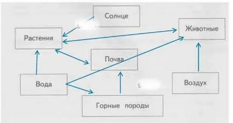Стрелками покажи связи
