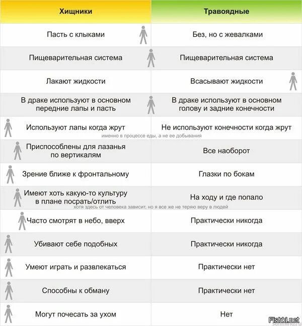 Строго травоядный человек. Человек хищник или травоядное. сравнение пищеварительной системы хищников и травоядных. сравнение плотоядных и травоядных. отличие хищников от травоядных животных.