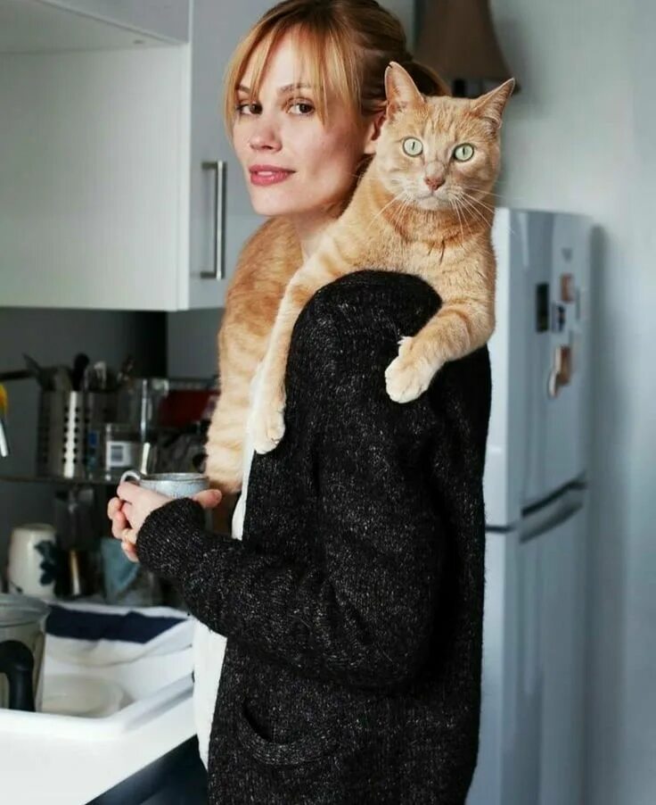 Коты любят хозяек