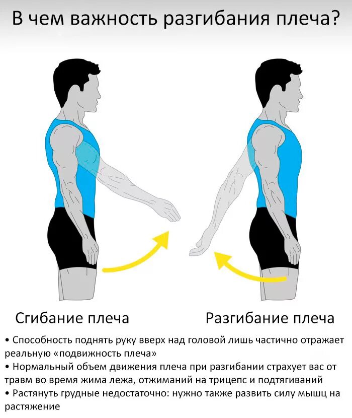 Плечевой сустав сгибание разгибание отведение. Сгибан е и ражгиюание плеча. Сгибание руки в плечевом суставе. Сгибан е в плечевом суставе. Через какое плечо нужно