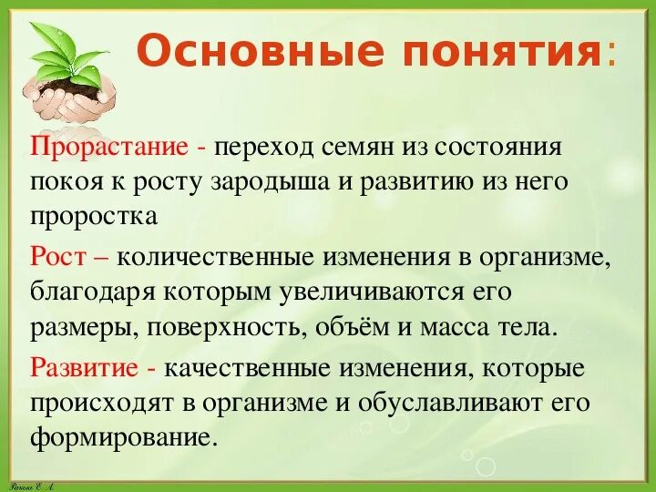 Рост и развитие растений презентация. Развитие растений презентация. Презентация на тему развитие растений. Презентация на тему рост и развитие растений.