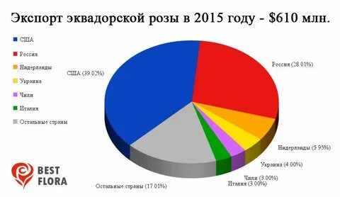 Импорт эквадора