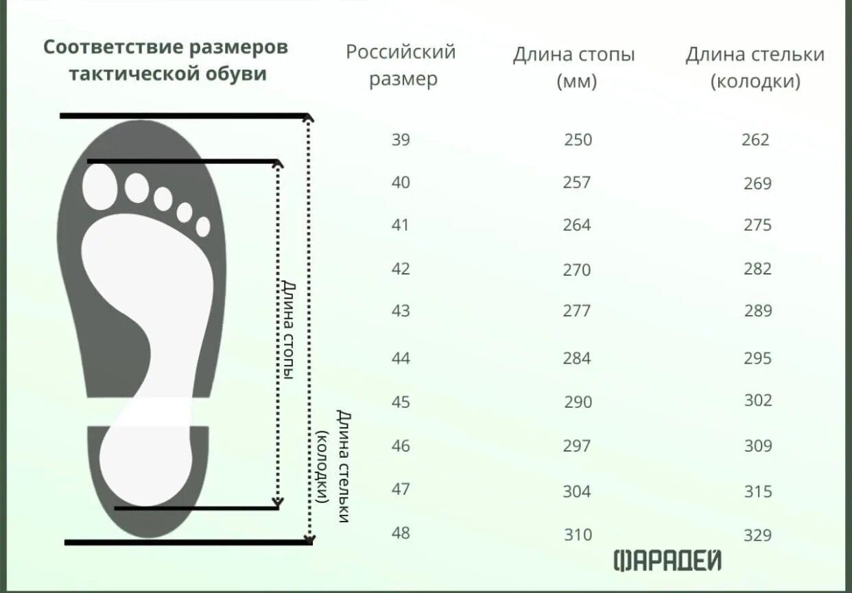 26 см нога какой размер женский