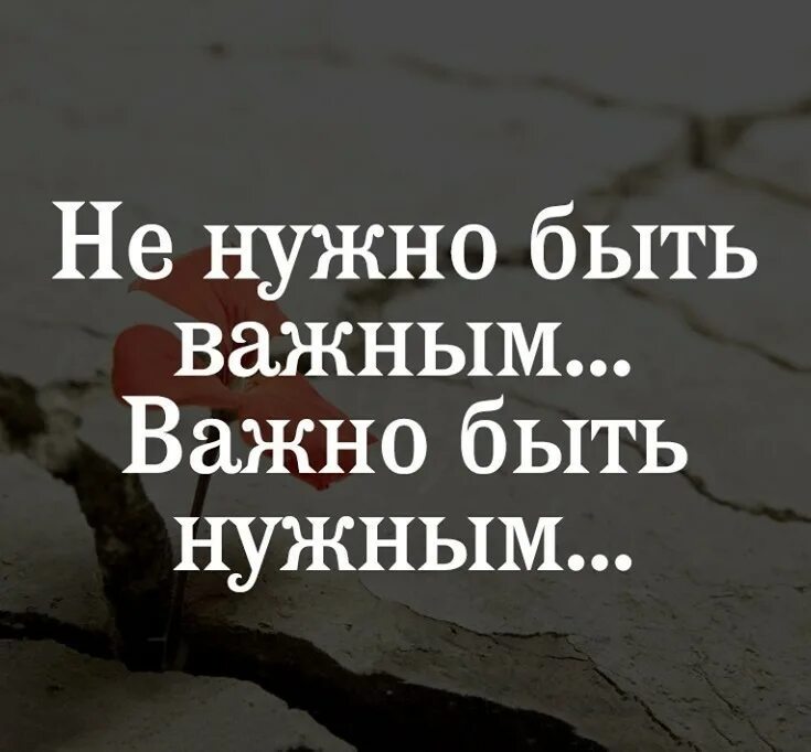 Красивое выражение про