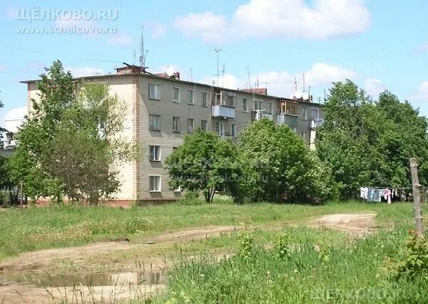 Огуднево школа 28. Поселение огуднево. Д огуднево щелковский. Д огуднево щелковский. Дер.