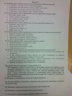 Контрольная работа по русскому причастие деепричастие