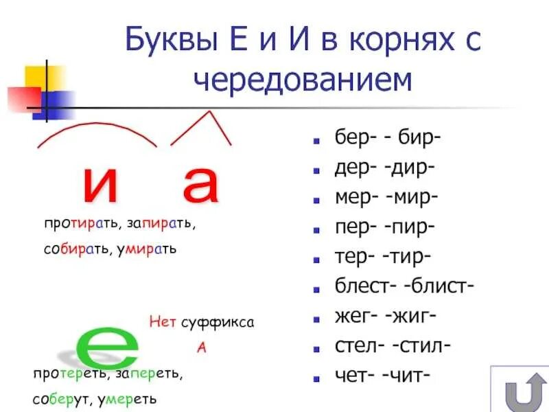 Правило чередование букв е е. Корни с чередованием тер тир. Корни бер бир тер тир.