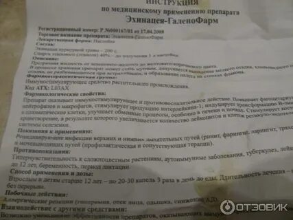 Экстракт эхинацеи инструкция