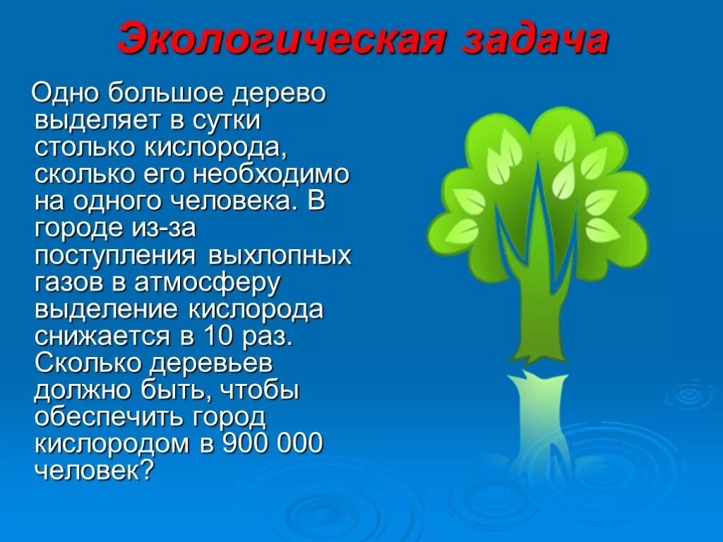 Деревья кислород. Деревья выделяют кислород. Выделение кислорода деревьями. Сколько кислорода выделяет одно дерево.