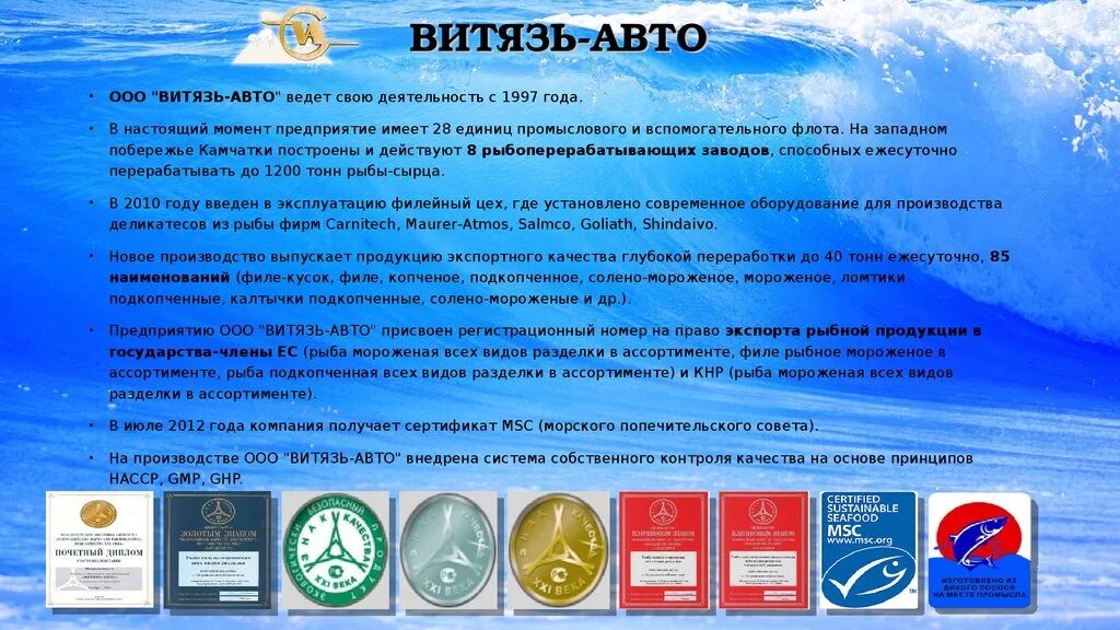 Режим работы витязь. Витязь авто. ооо витязь. ооо &quot;витязь-авто&quot;. витязь авто камчатка.