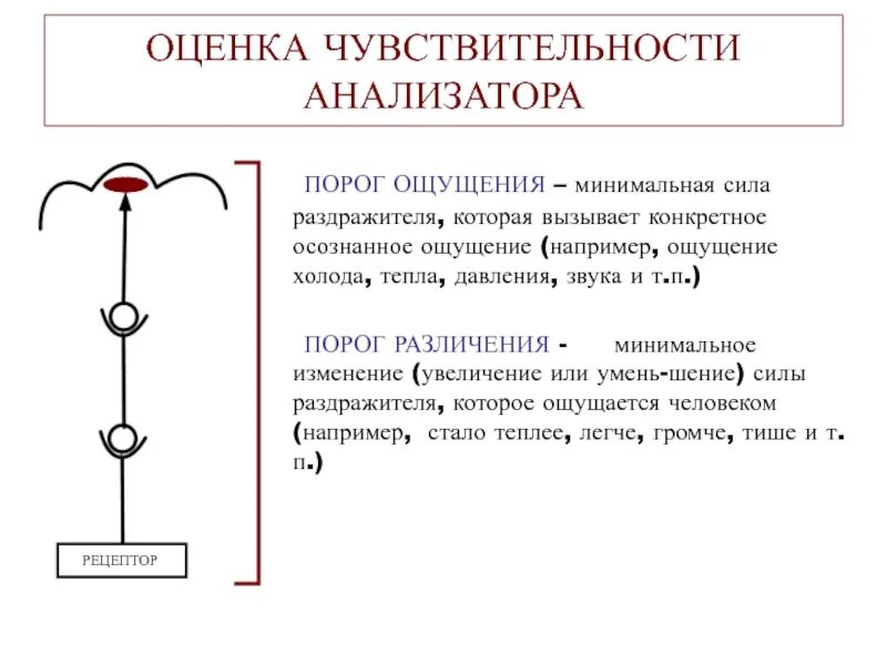 Порог психология. Порог различения физиология. Пороги чувствительности ощущений в психологии. Абсолютный и разностный пороги ощущений. Абсолютный порог чувствительности анализатора это.