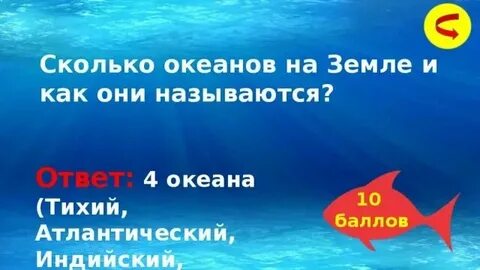 Сколько океанов википедия