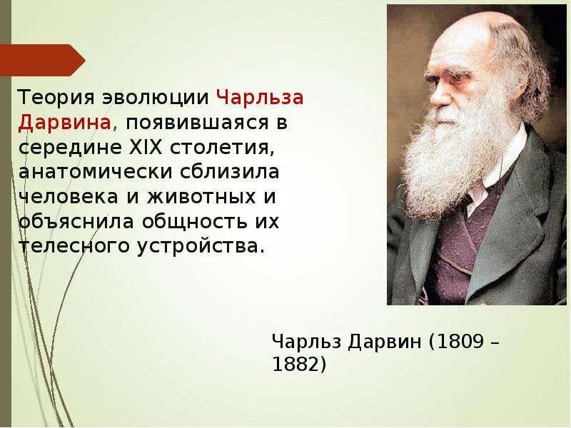 Гипотеза дарвина. Теория Чарльза Дарвина кратко. Теория Дарвина фото.