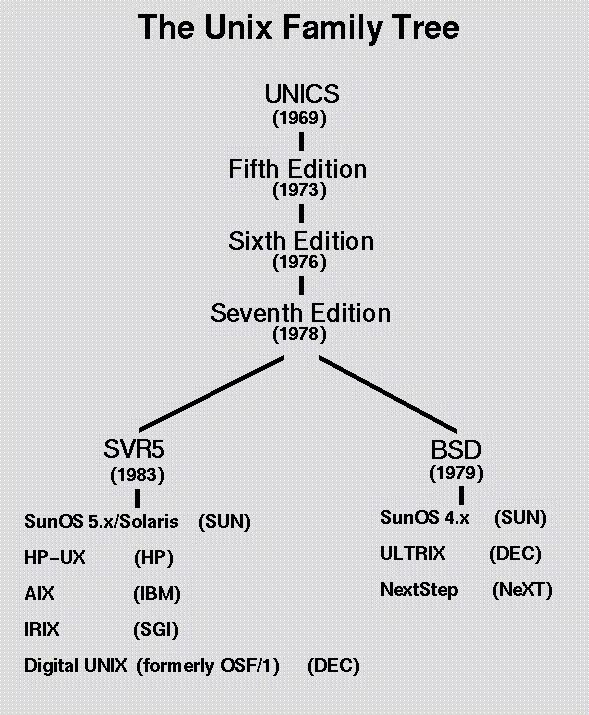 Группы пользователей unix. Unix системы дерево. генеалогическое древо unix-подобных операционных систем. дерево версий unix. дерево unix подобных систем.