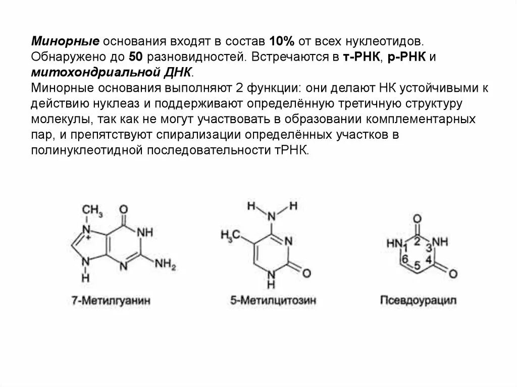 Минорные пиримидиновые основания. Минорные основания РНК. Минорные азотистые основания РНК. Минорные нуклеиновые основания.