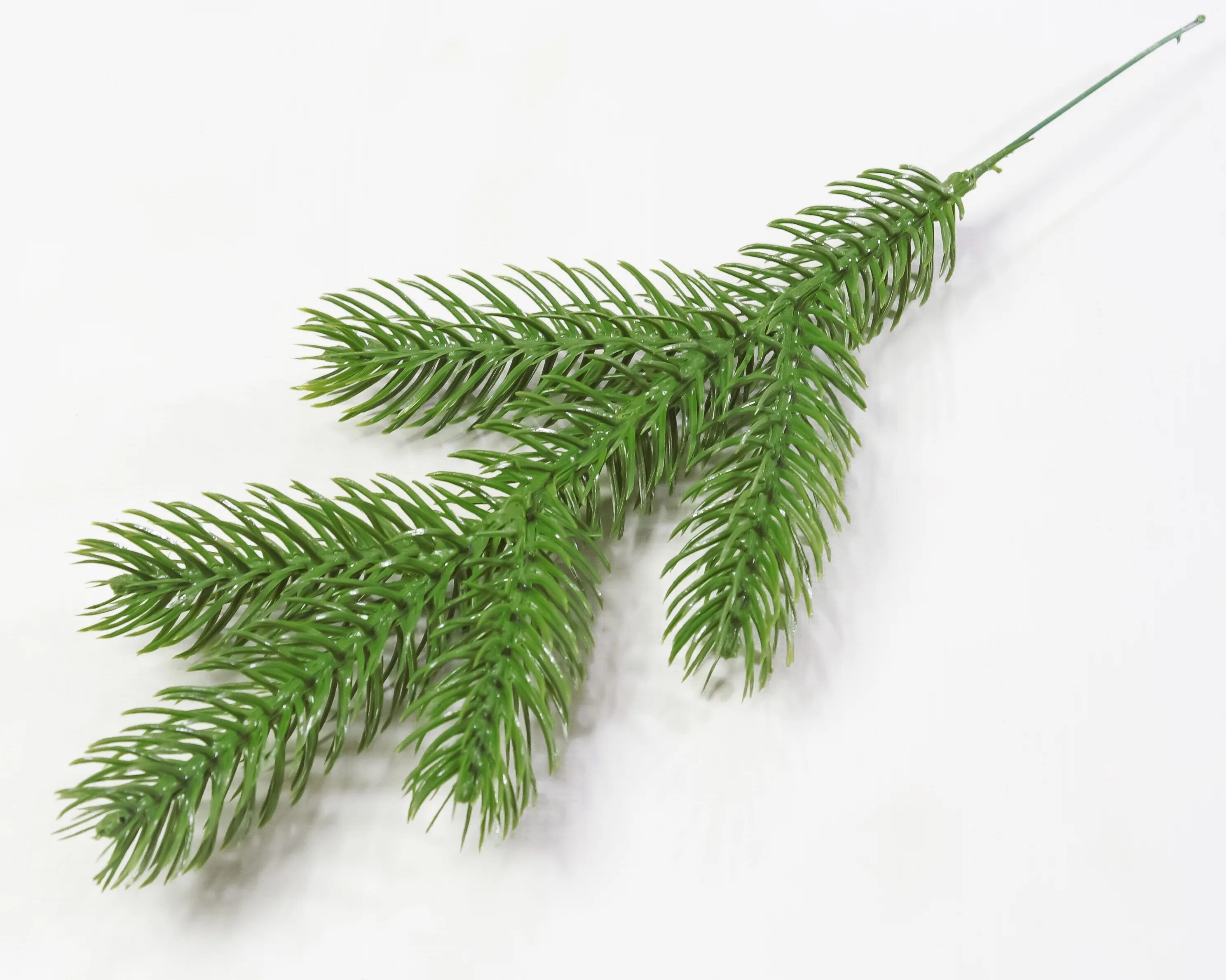 тату ель. новогодние еловые ветки. ель ветка. ветка сосны тату. ветка елки.