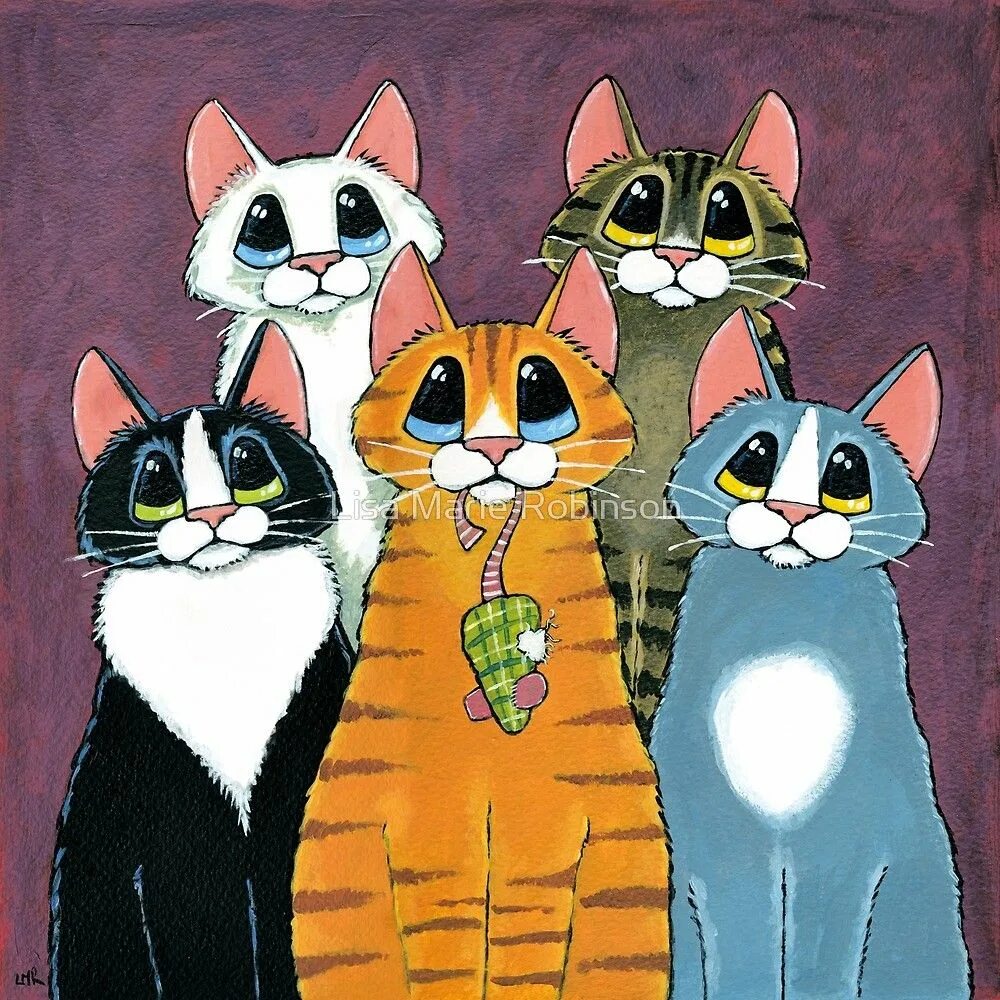 05 cat