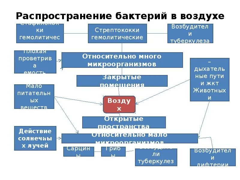 Распространение микробов в окружающей среде. Распространение микроорганизмов в воздухе. Распространение микроорганизмов в окружающей среде микробиология. Распространенность микроорганизмов в окружающей среде.