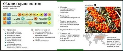 Облепиха состав