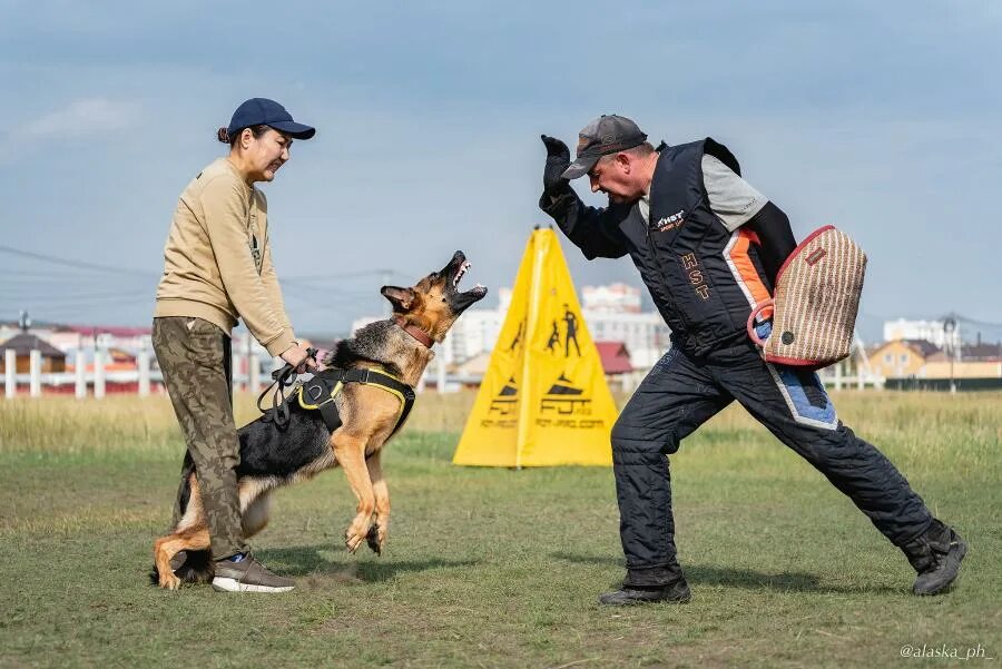 Занятия с кинологом. Кинолог дрессировка. Кинолог обучение. Немецкая овчарка зкс. Служебно-розыскная собака.