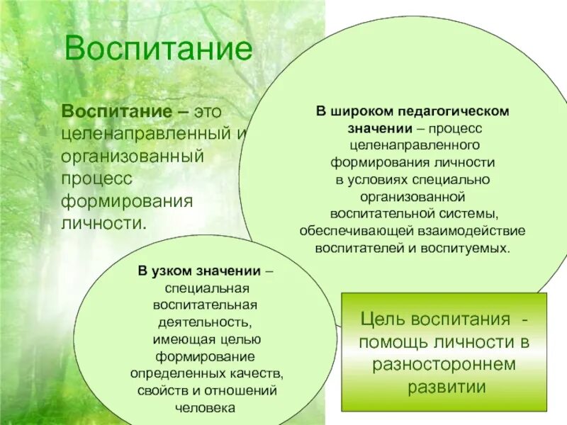 Процесс целенаправленного формирования качеств личности. Воспитание это процесс целенаправленного формирования личности. целенаправленный и организованный процесс формирования личности. воспитание это целенаправленное процессом развития личности. воспитание это целенаправленный и организованный процесс.