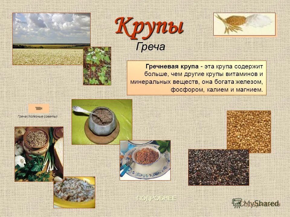 Энергетическая ценность гречневой крупы. Состав крупы гречневой на 100 грамм. Гречка ценность. Показатели качества гречневой крупы. Витамины в гречневой крупе.