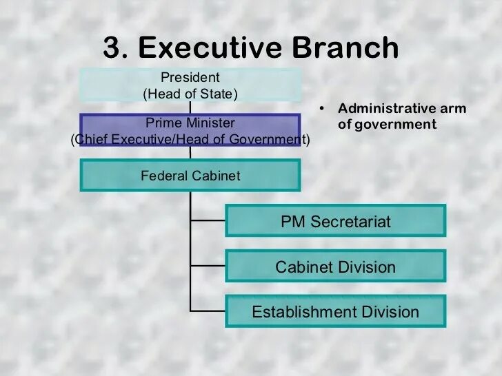 Executive Branch. Administration. The Executive Branch of the government. The Executive Branch of the government доклад. Cabinet Division.