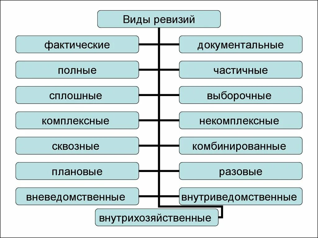 Фактически не выделяют. Ревизия бывает. Виды ревизии. Основные виды ревизии. Классификация видов ревизии.