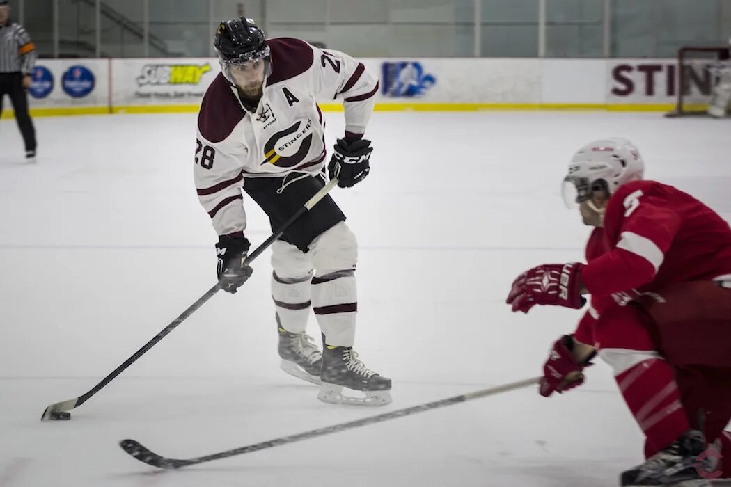 Перт тандер. Мельбурн айс мельбурн мустангс. Сидней айс догс. Ице logo. Перт тандер.