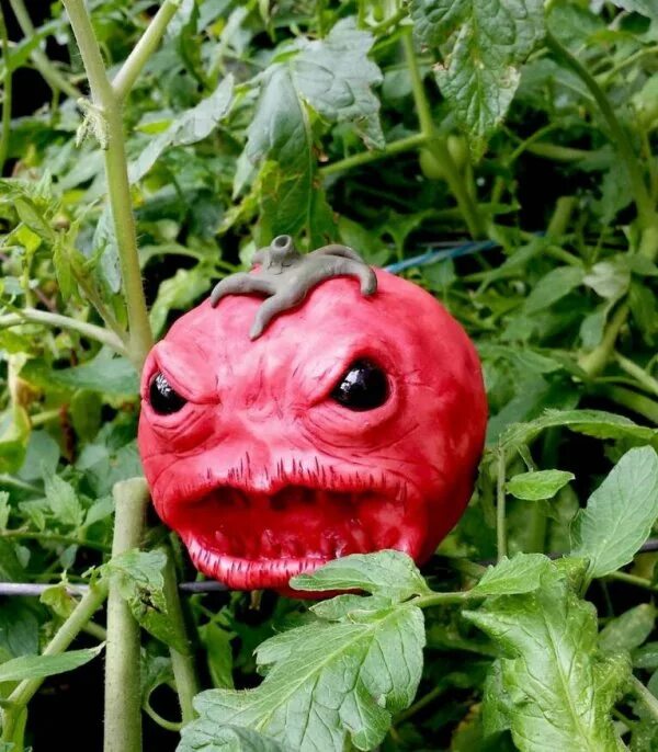 Нападение помидоров. Злой помидор.