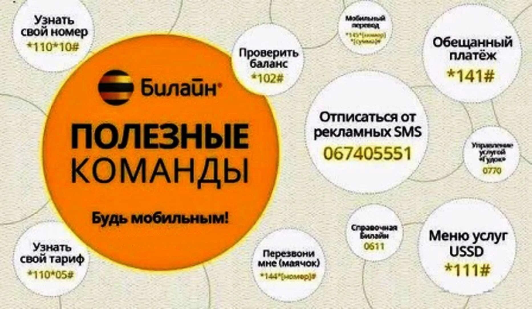 Бесплатные команды билайн на телефоне. Полезные номера Билайн. Полезные команды Билайн. Свой номер Билайн. Билайн узнай свой номер.