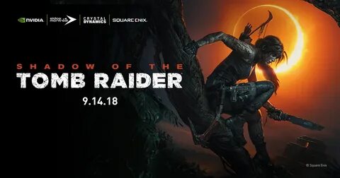 Shadow of the tomb черный экран