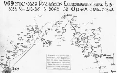 Стрелковая дивизия 1941 г
